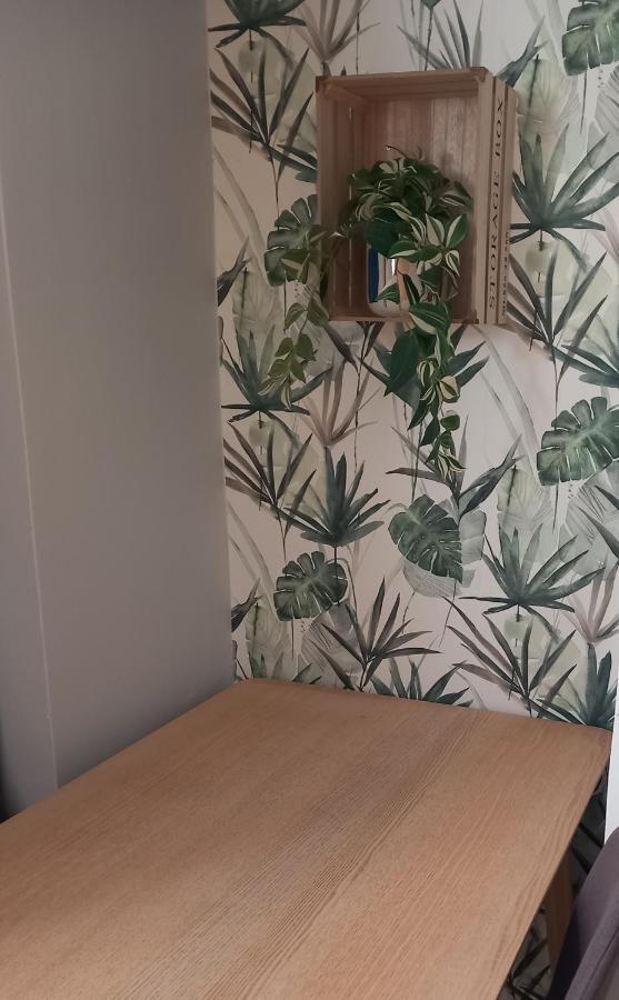 Apartment Hola Piotrkowska