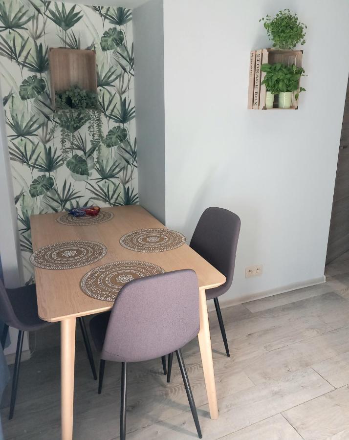 Hola Piotrkowska Apartment *